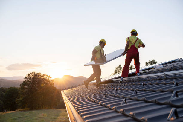 Best Emergency Roof Repair Services  in St Johns, MI