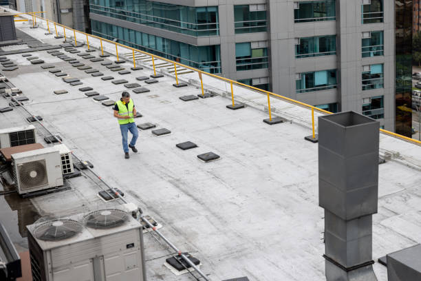 Best Steel Roofing  in St Johns, MI