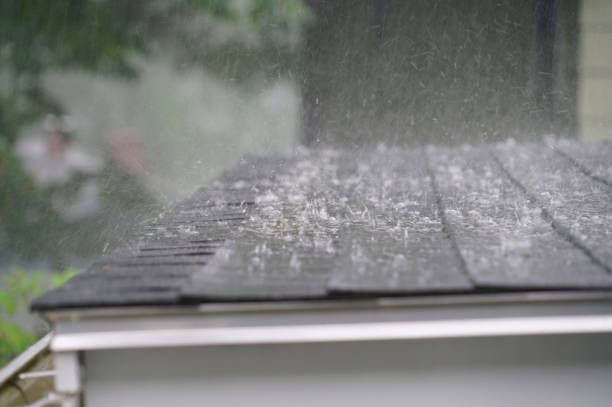 Best Cold Roofs  in St Johns, MI