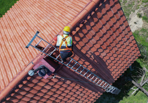 Best Roof Leak Repair  in St Johns, MI