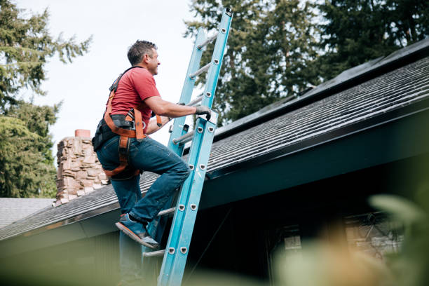 Best Sheet Metal Roofing  in St Johns, MI
