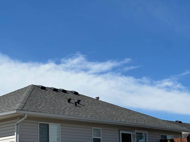 Best Roof Moss and Algae Removal  in St Johns, MI