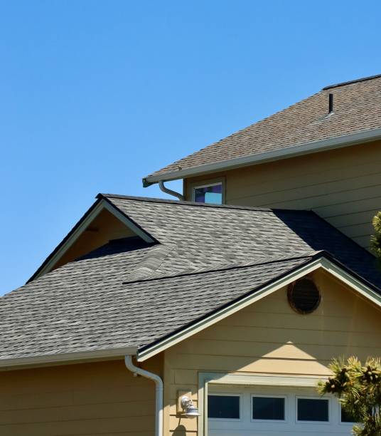 Best Gutter Installation and Repair  in St Johns, MI