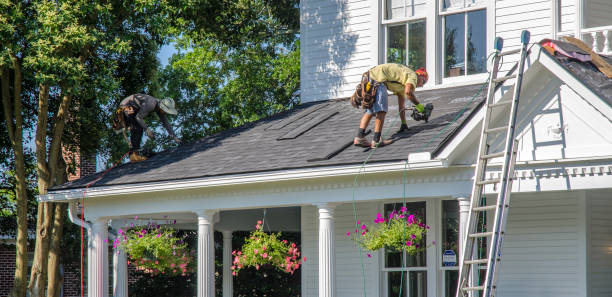 Best Chimney Flashing Repair  in St Johns, MI